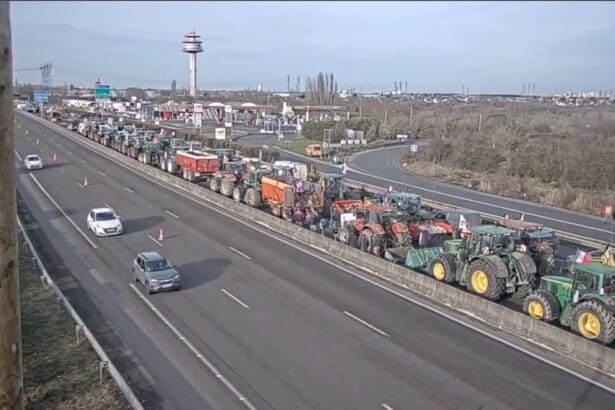 French farmer protest